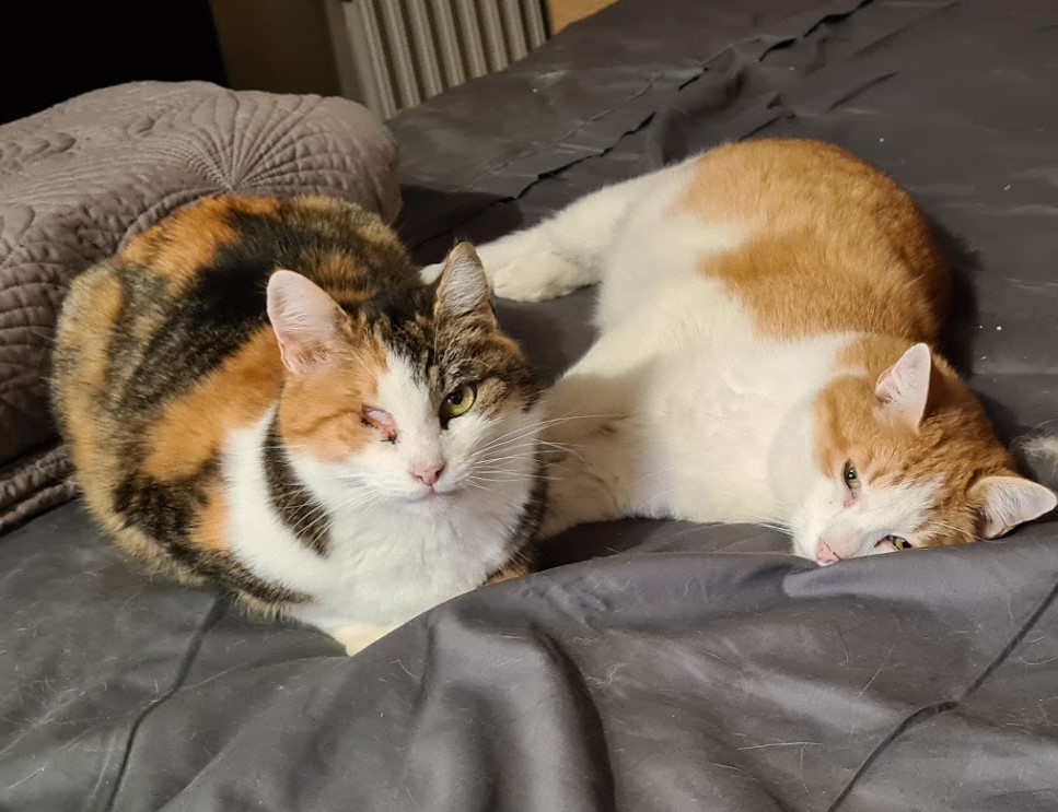 Jimmy & hermione