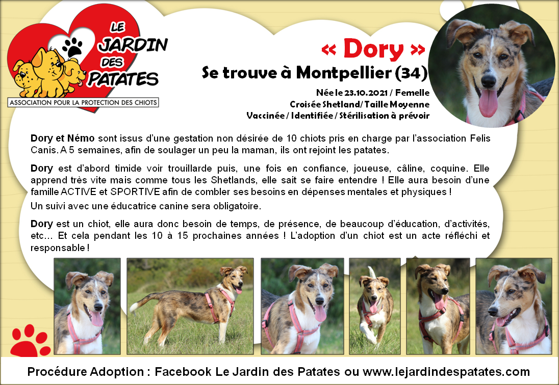 Dory