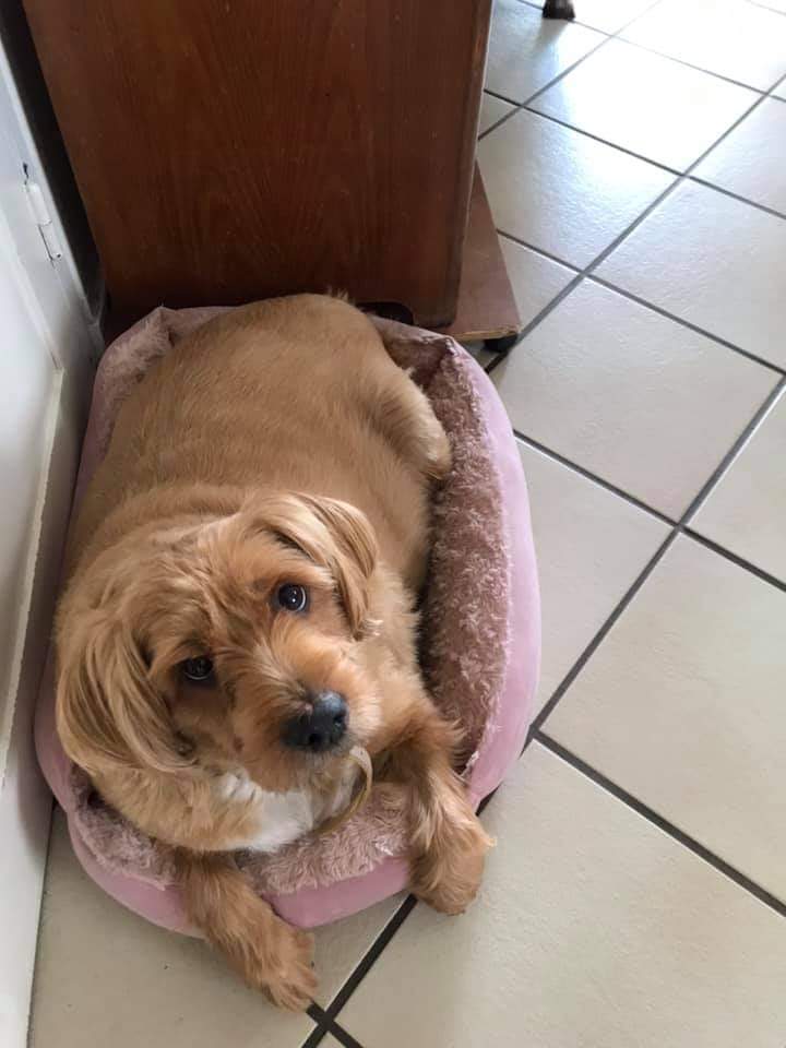 Lilou