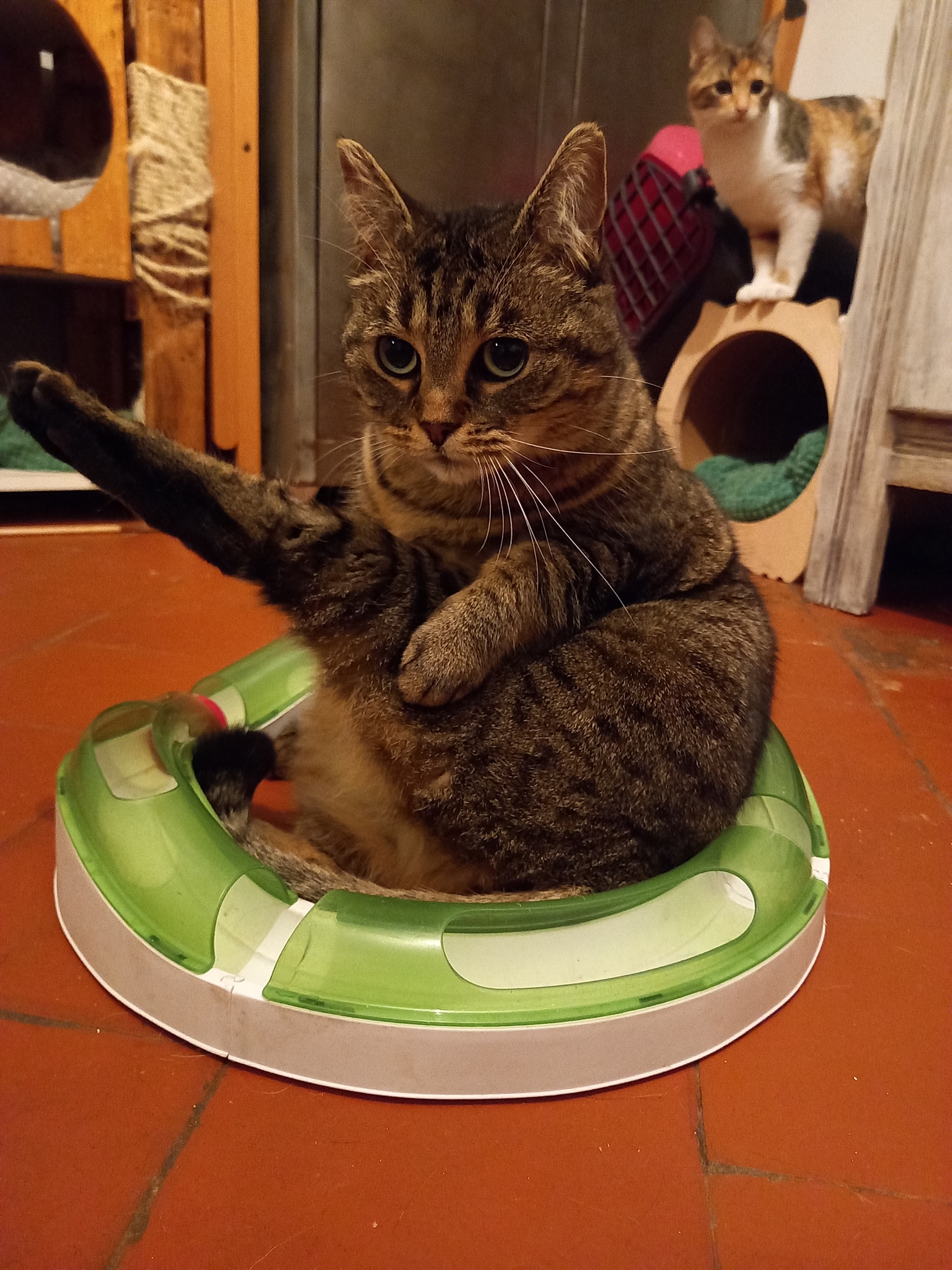 Poupée