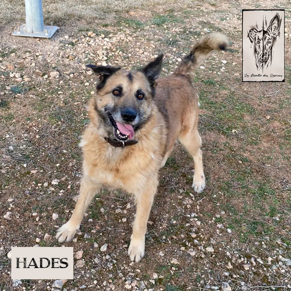 Hades