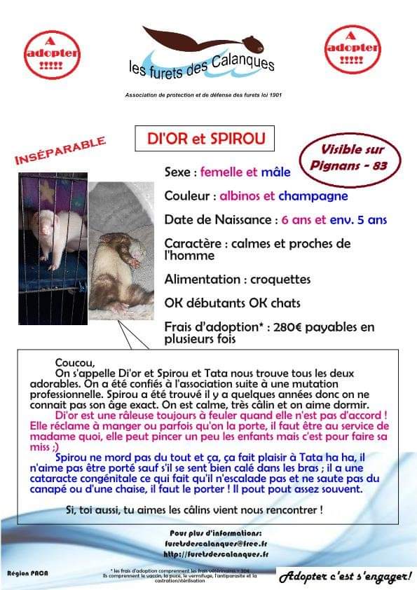 Di'or et spirou