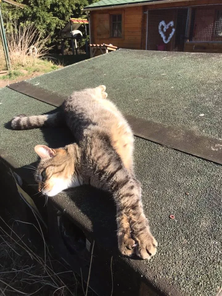 Mia