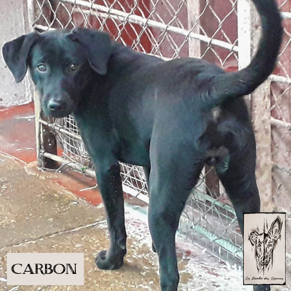 Carbon