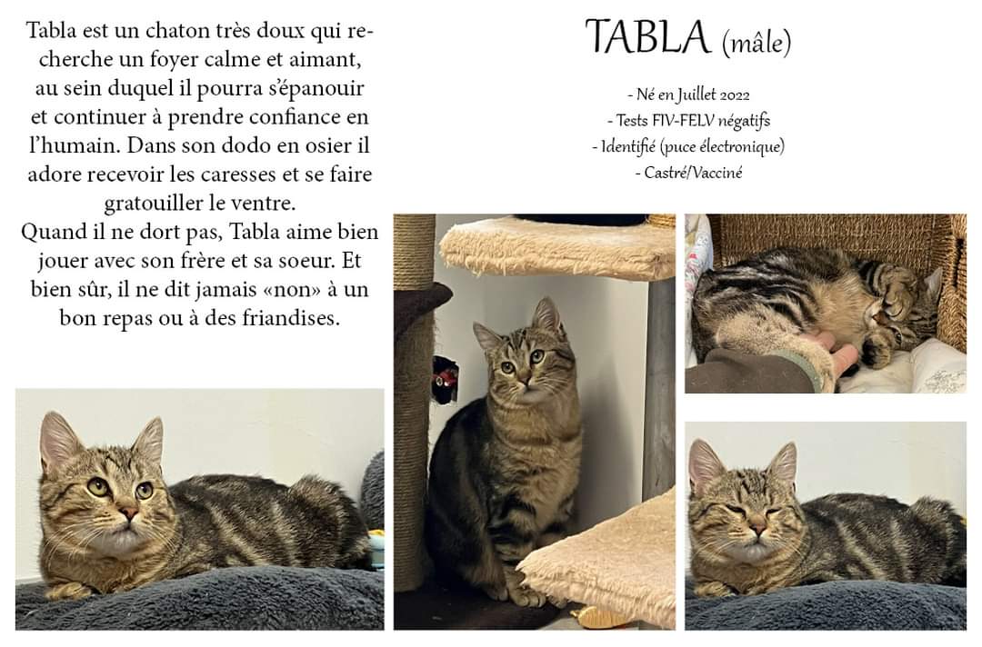 Tabla