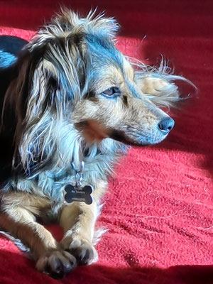 Oona