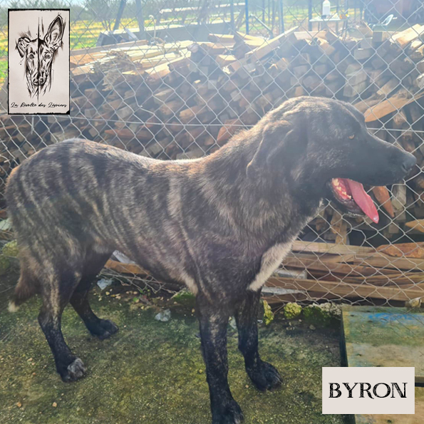 Byron