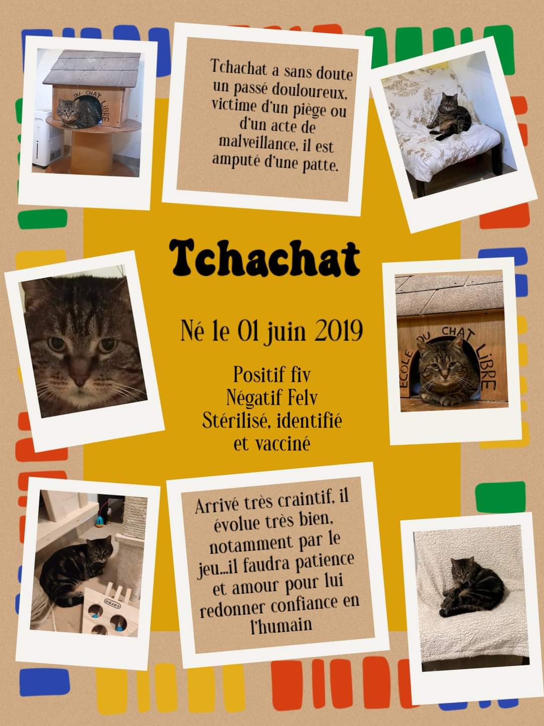 Tchachat