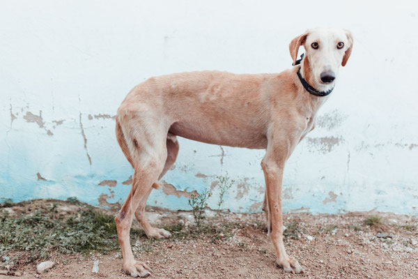 Edmundo