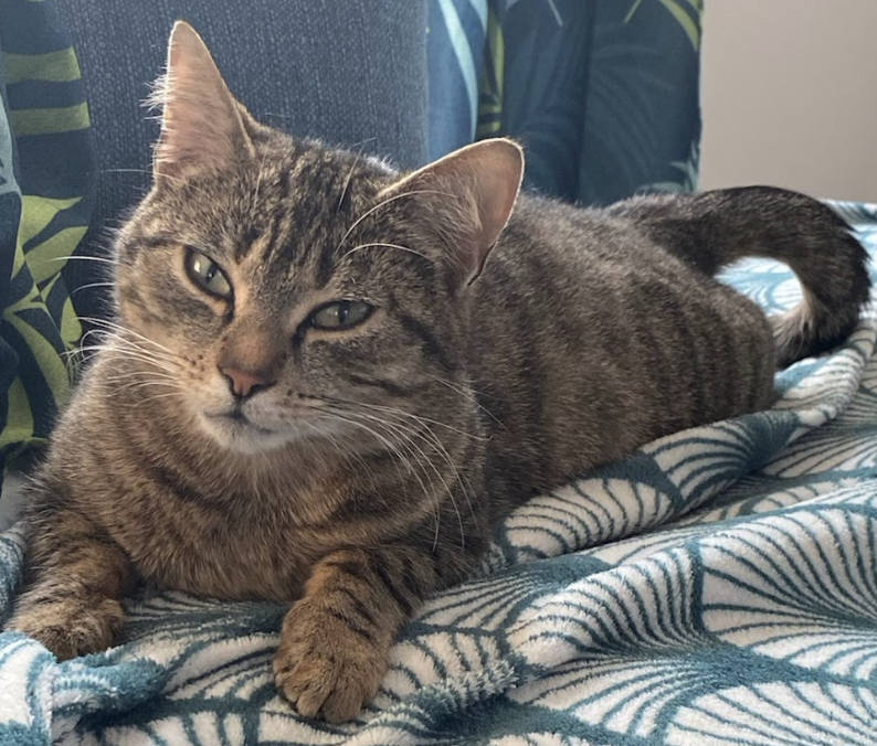 Mimi