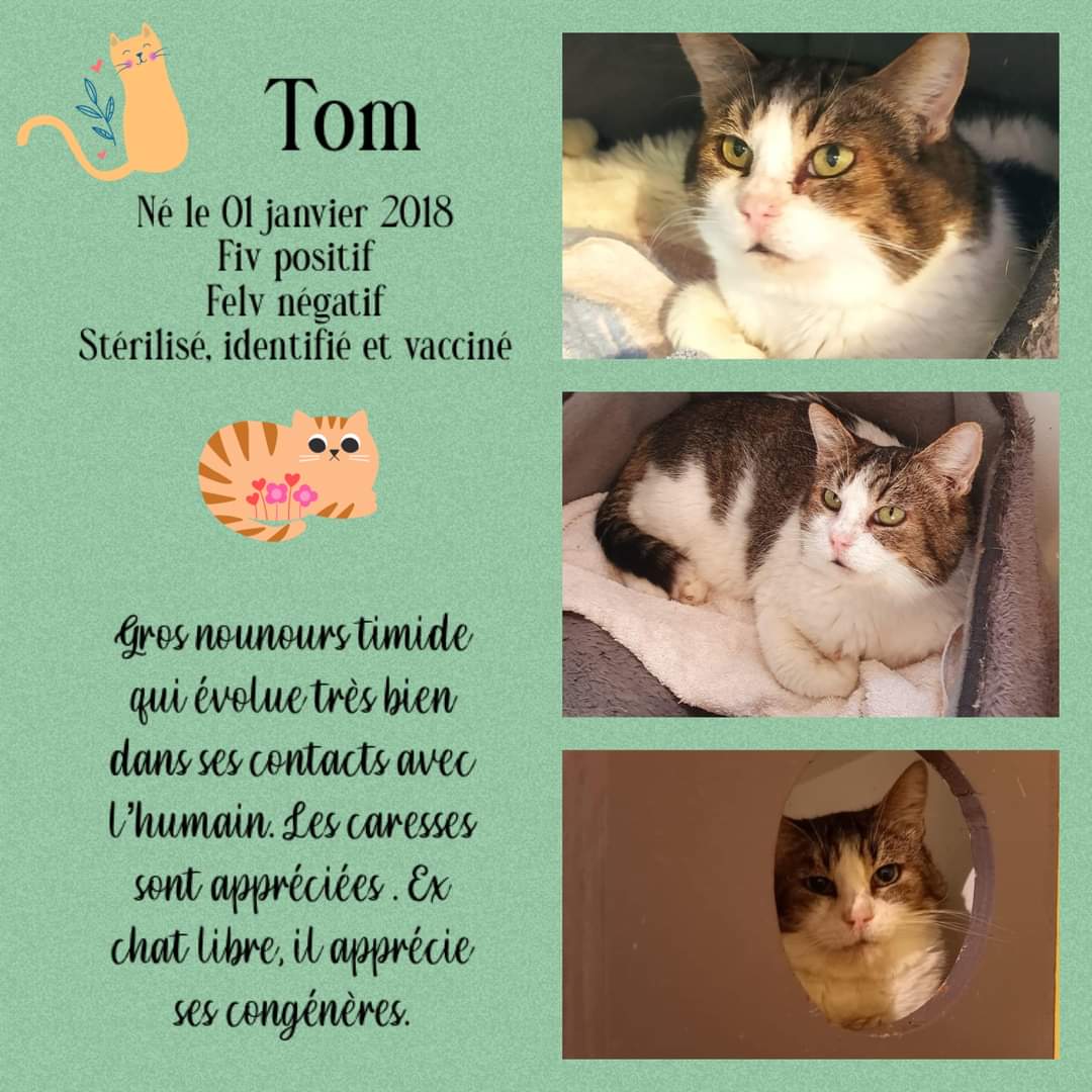 Tom