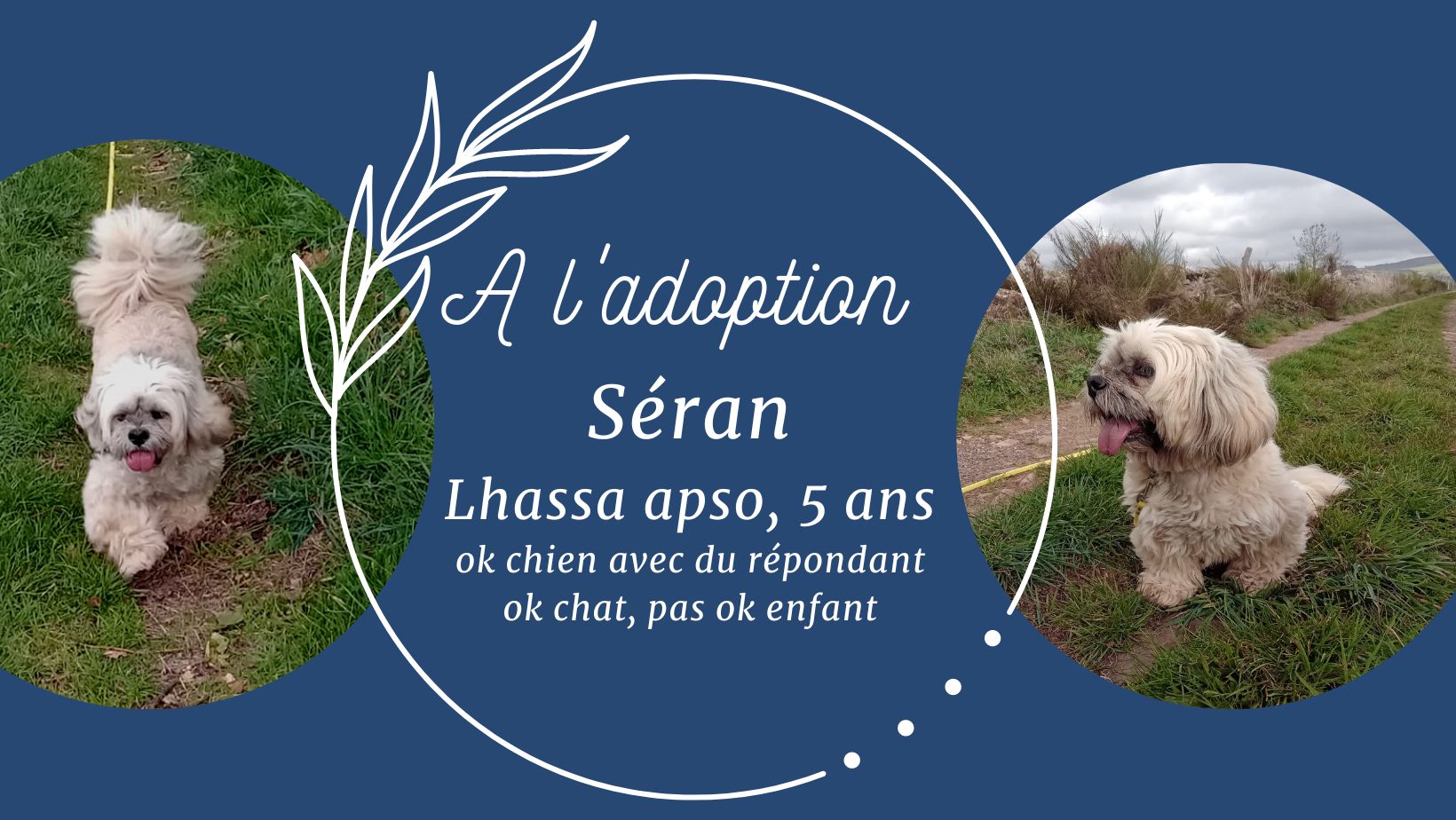 Seran