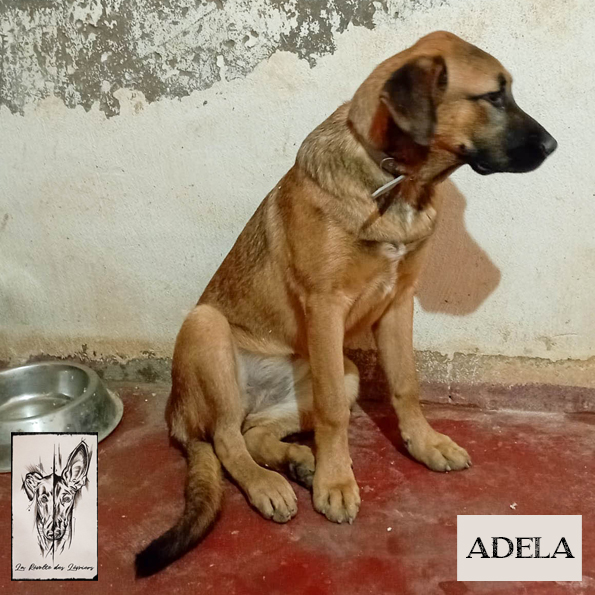 Adela