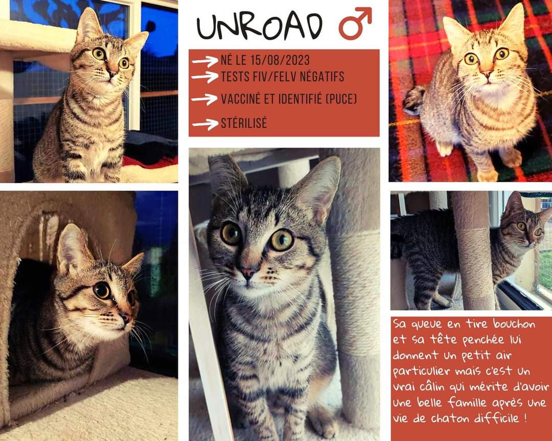 UNROAD