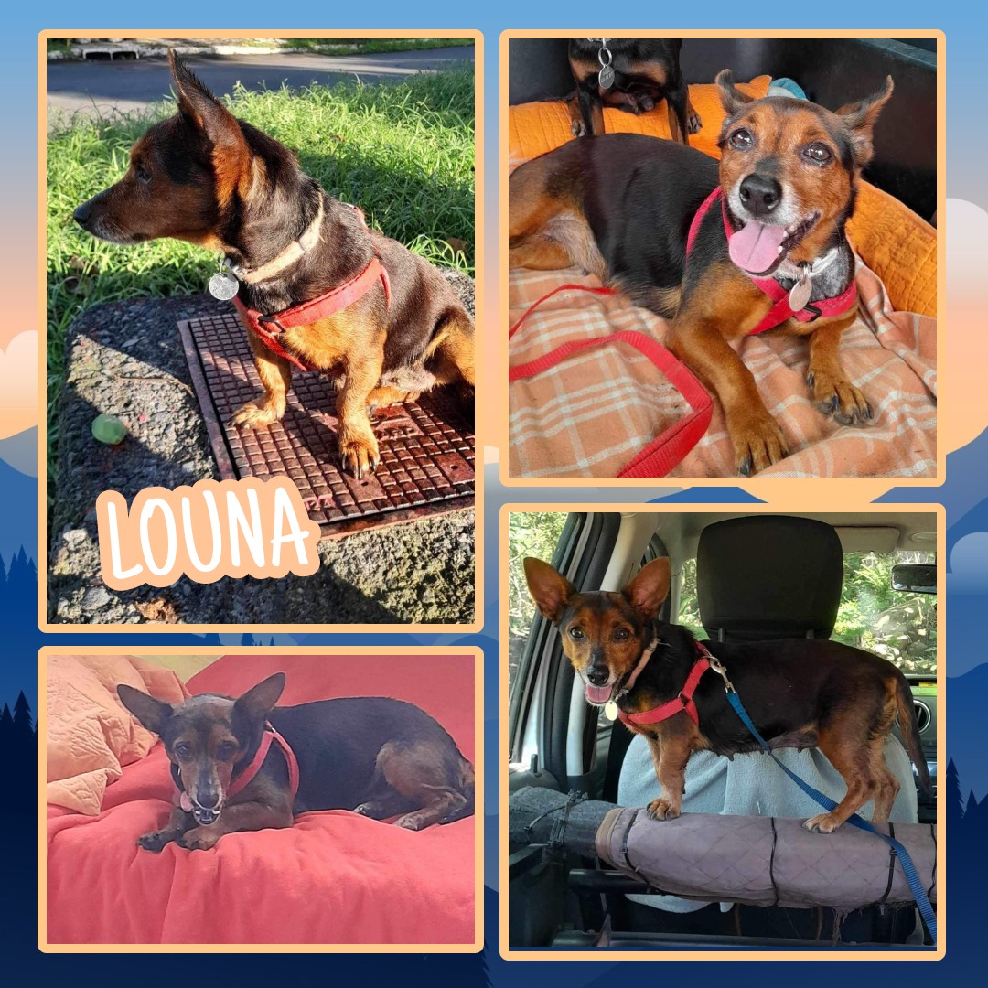 Louna