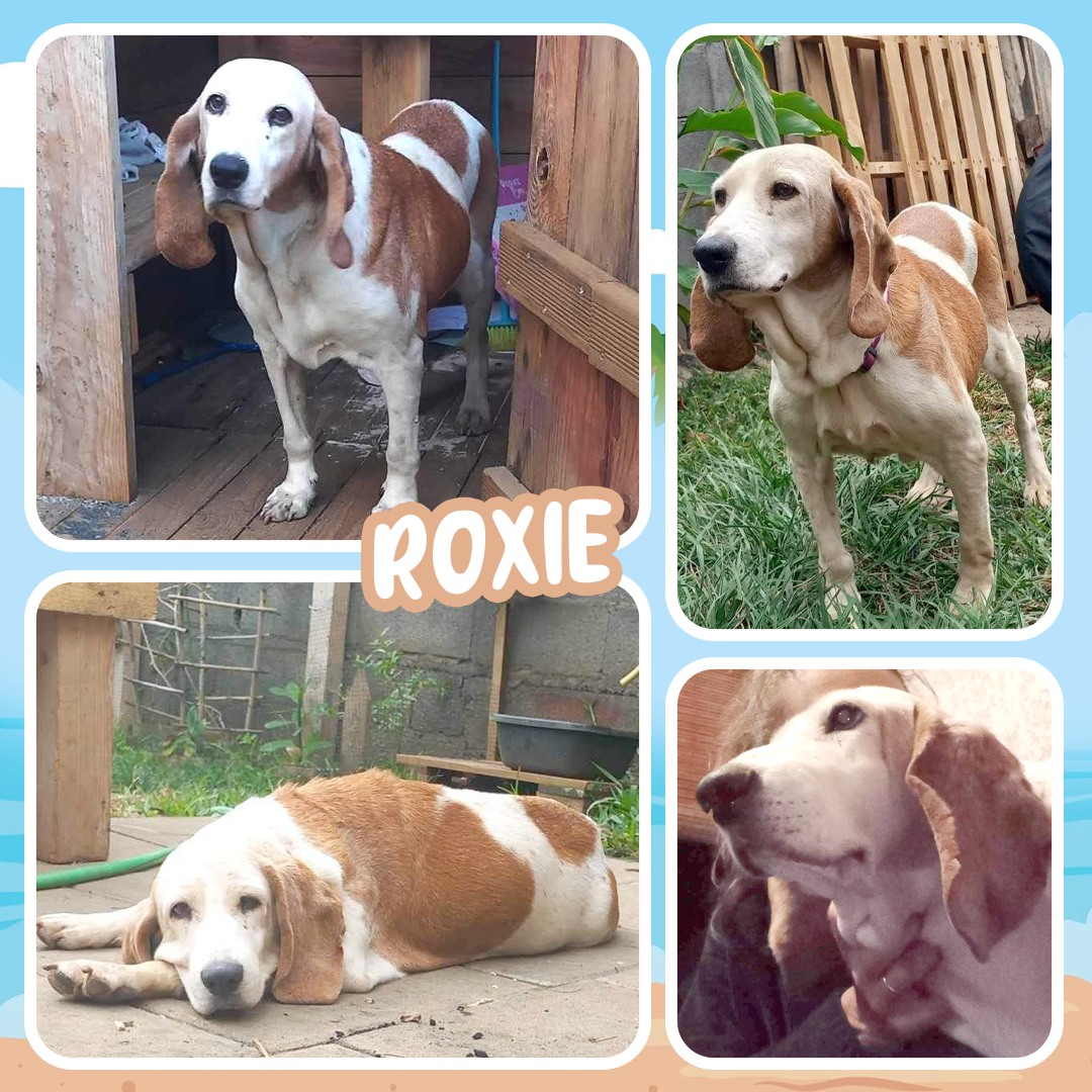 Roxie