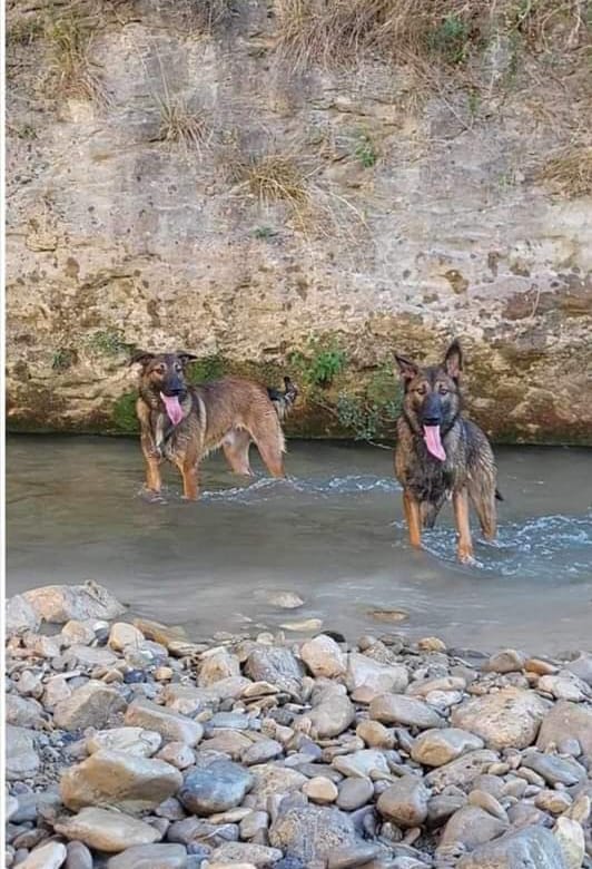 osiris & oslo