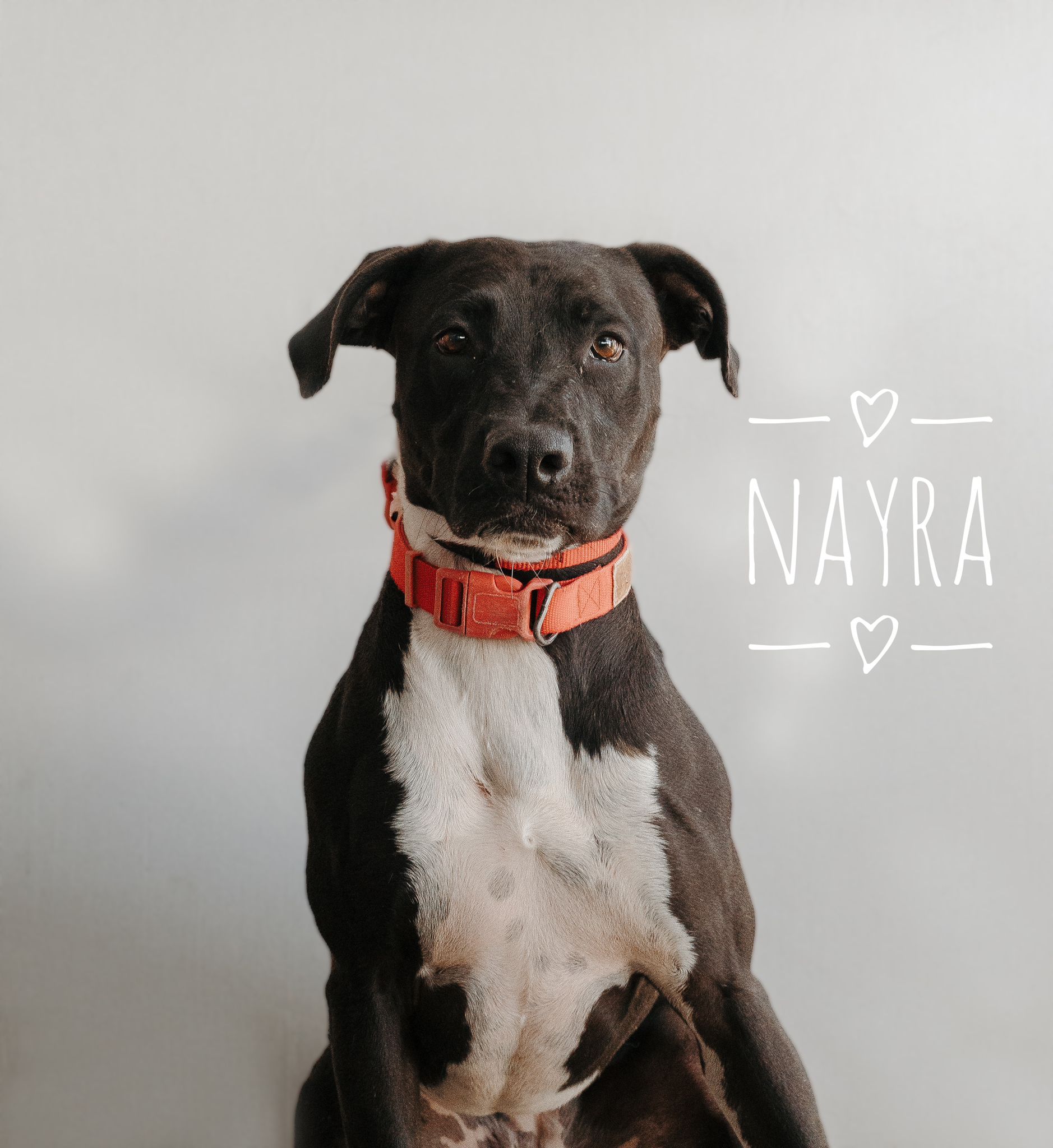 NAYRA