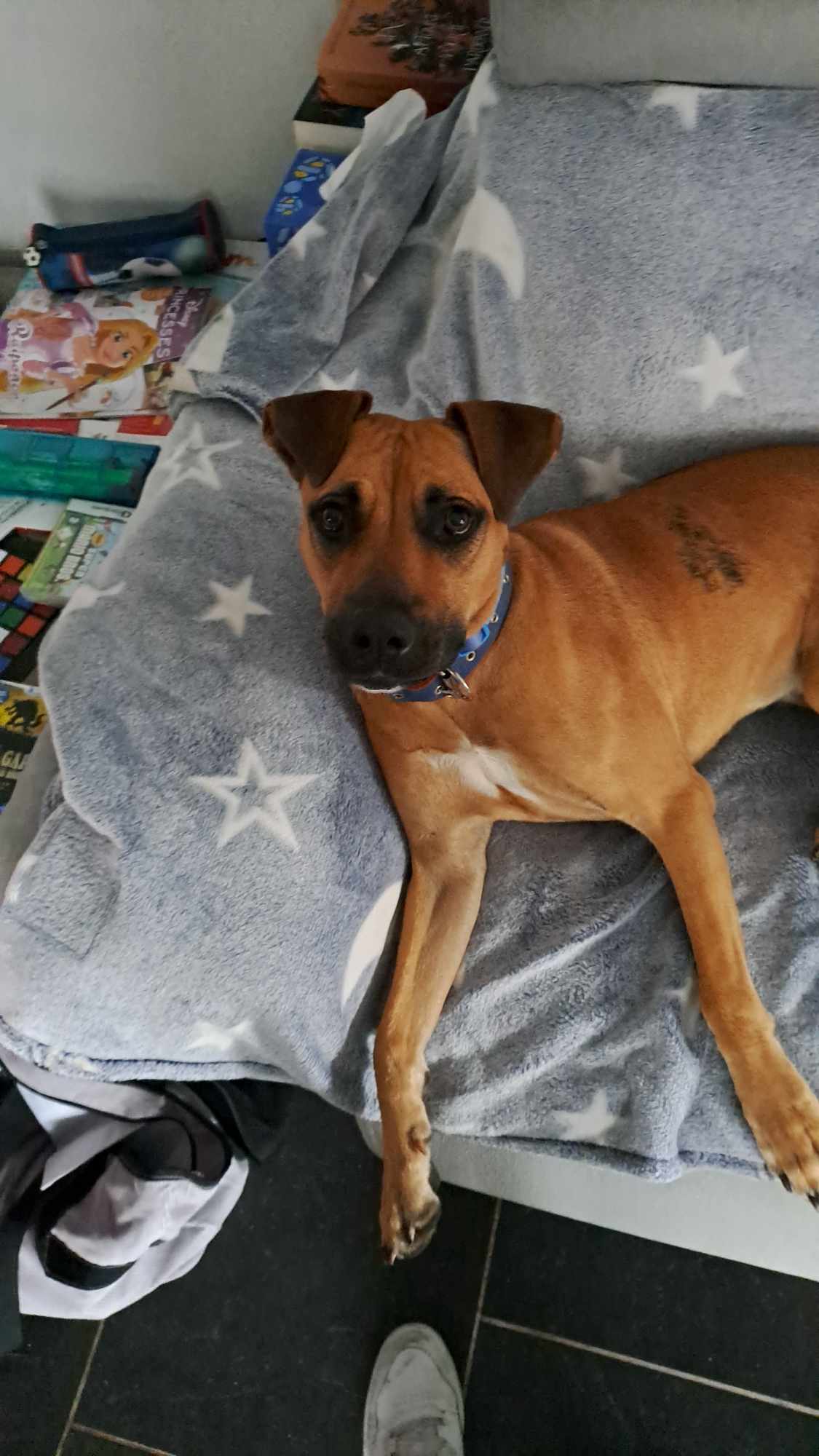Winnie