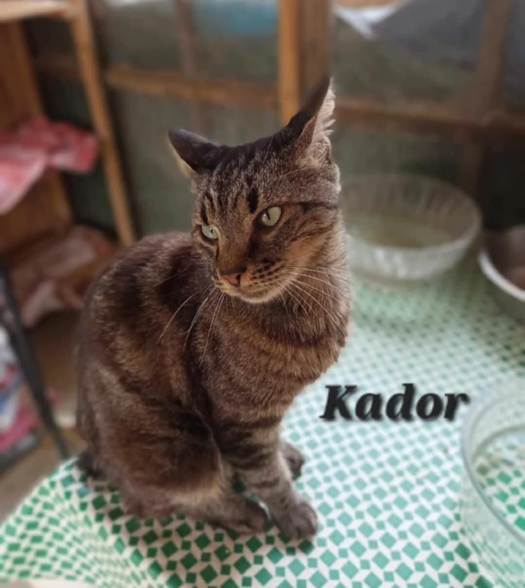 KADOR