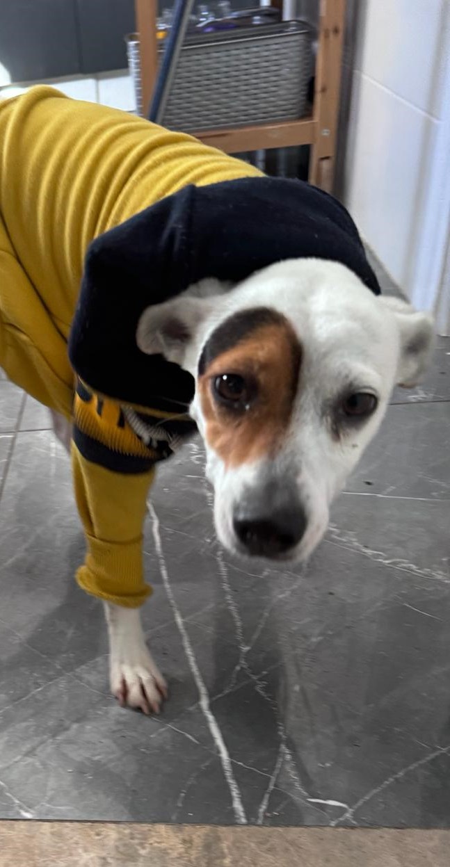 CHICA