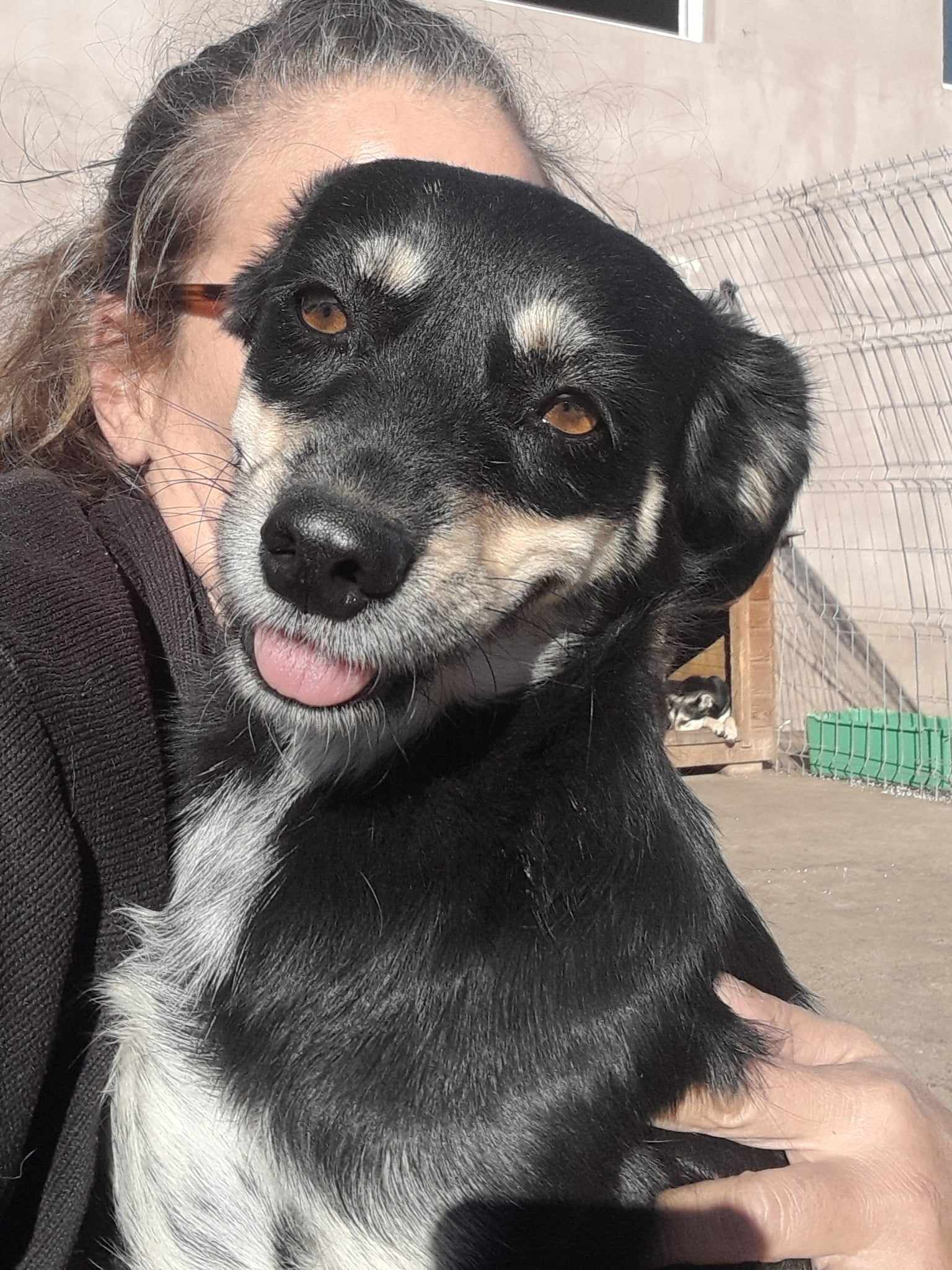 Ella