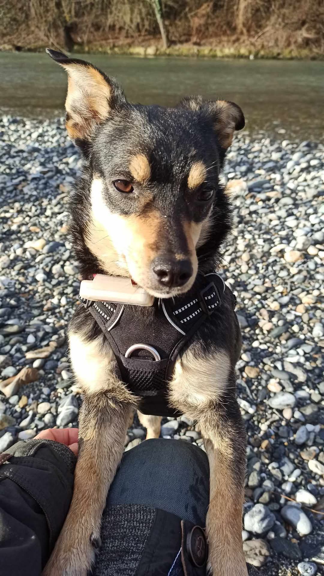 ABBY