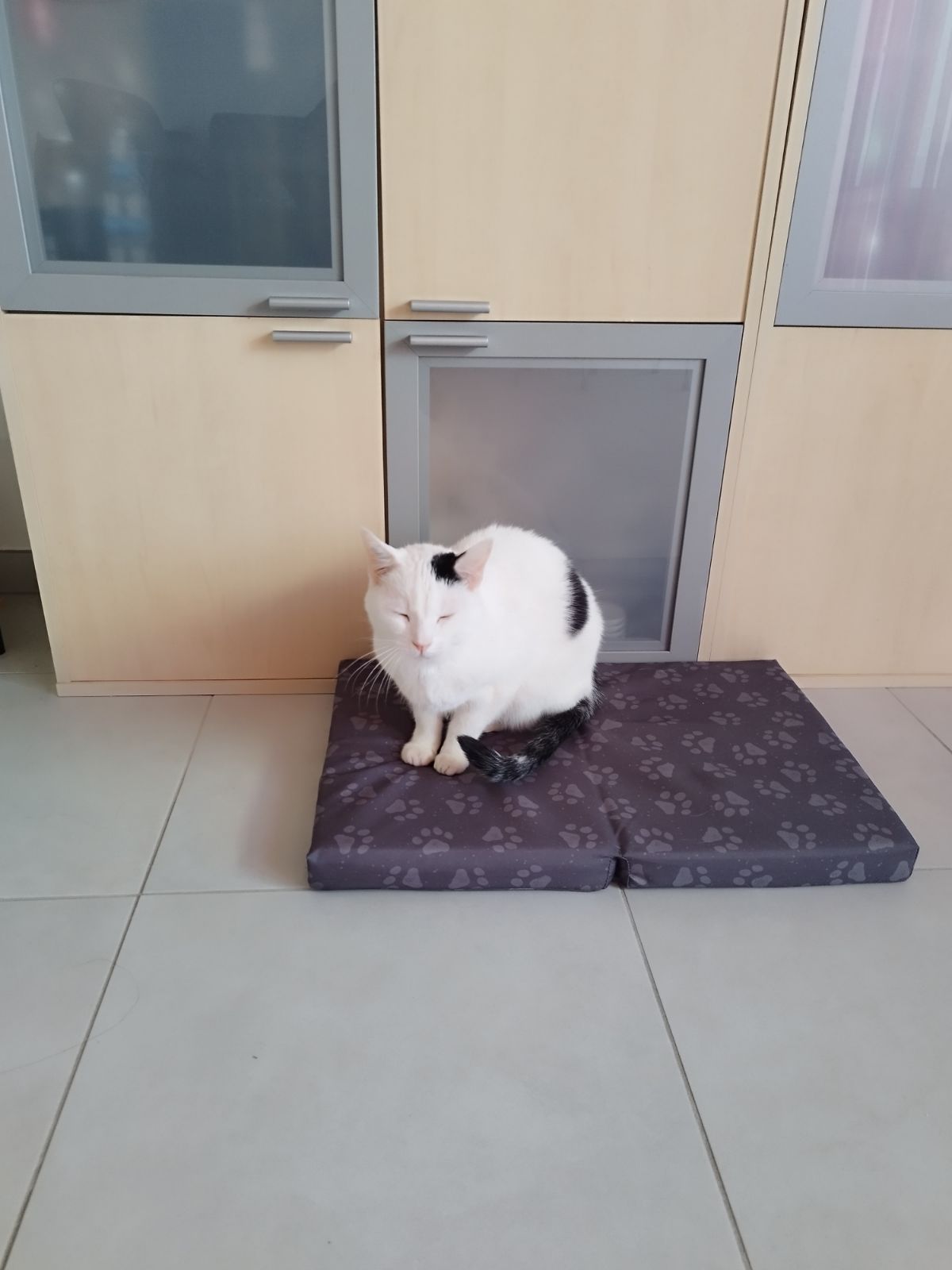 MILO