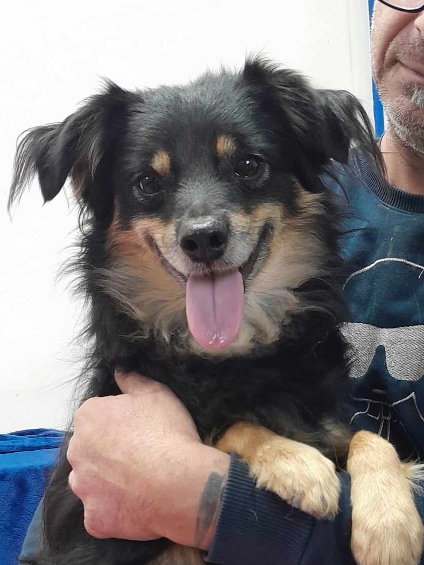 Lilo