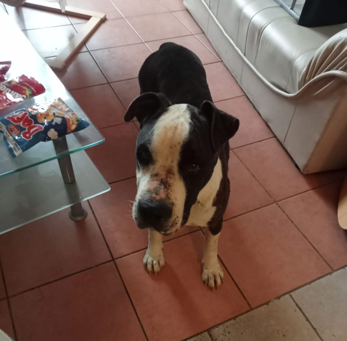 Malko 