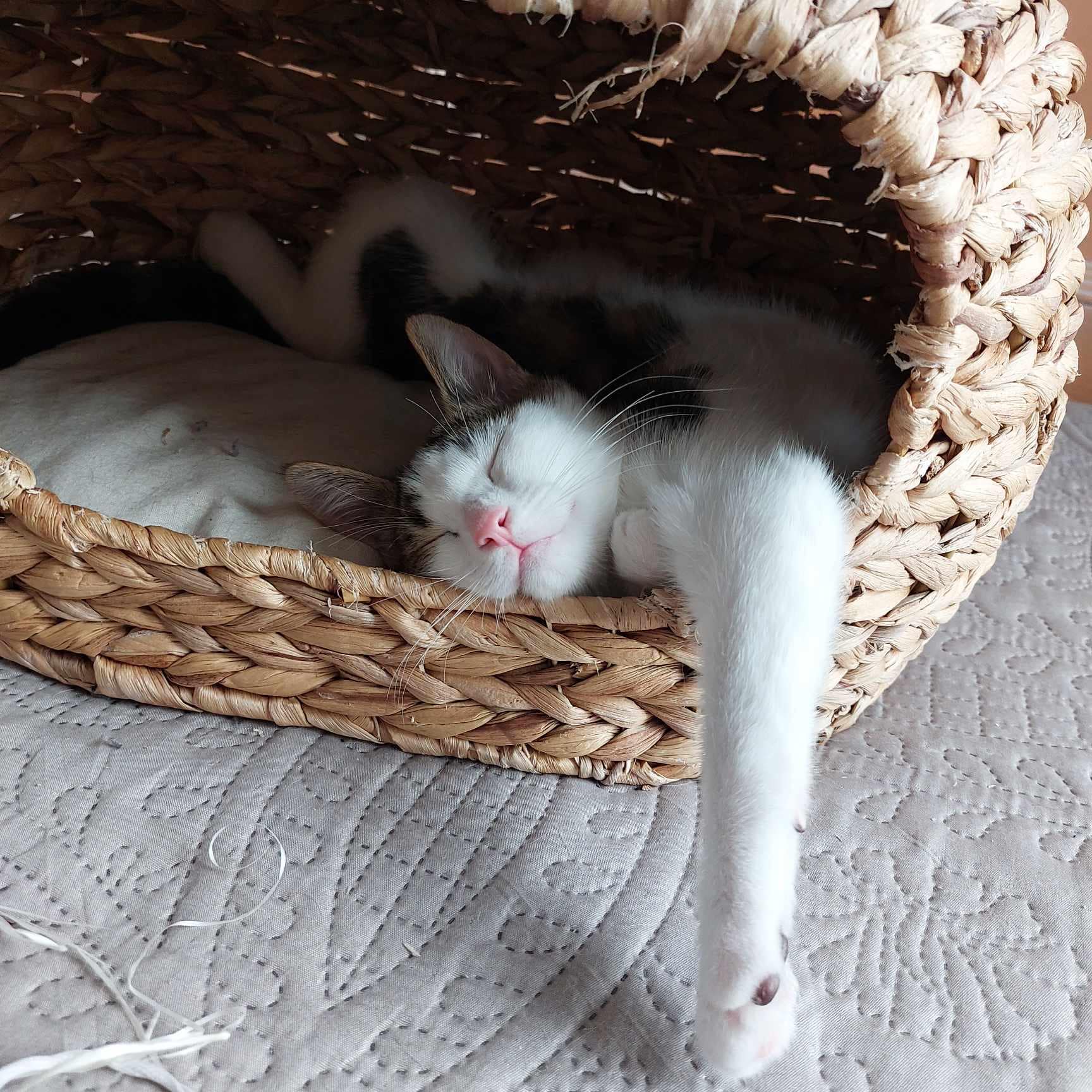 USKO
