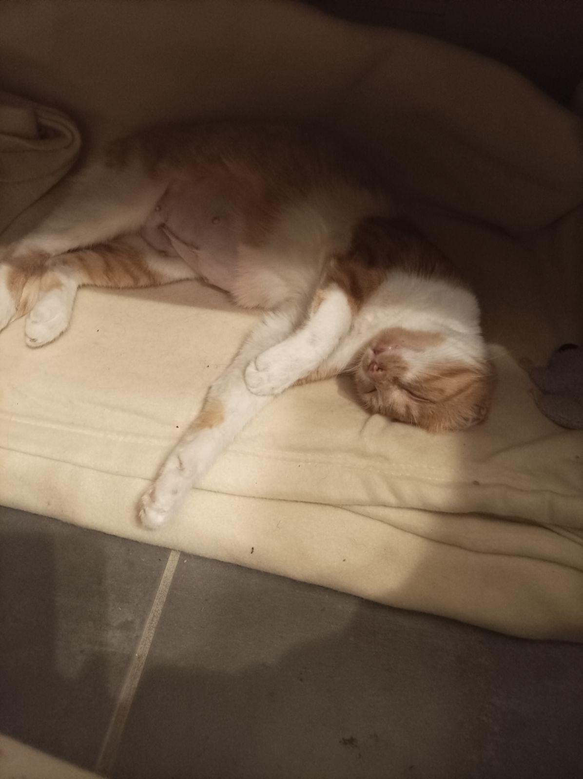 Louna