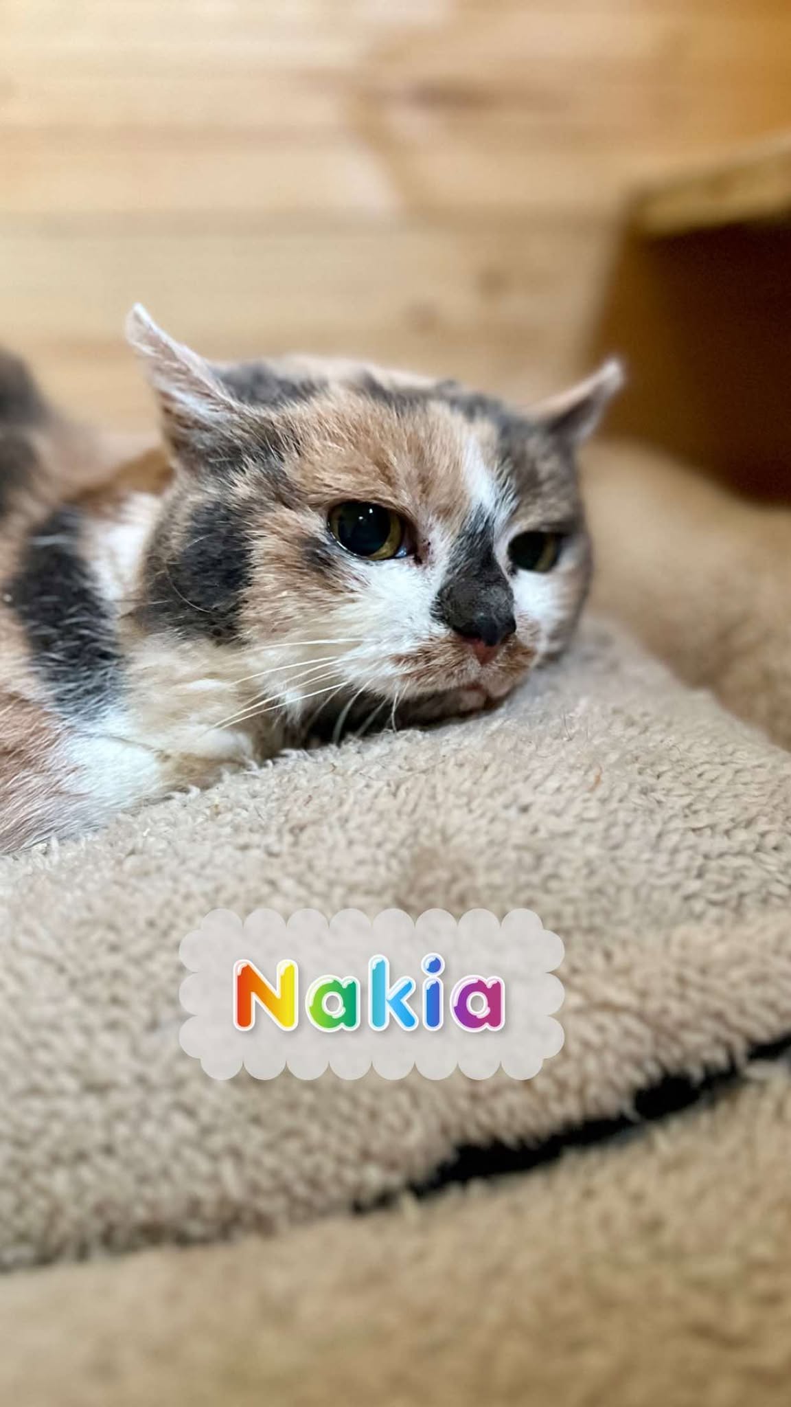 Nakia