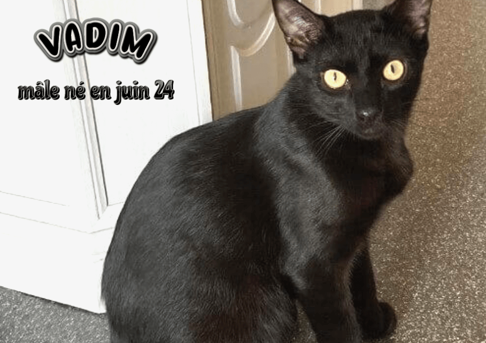 VADIM