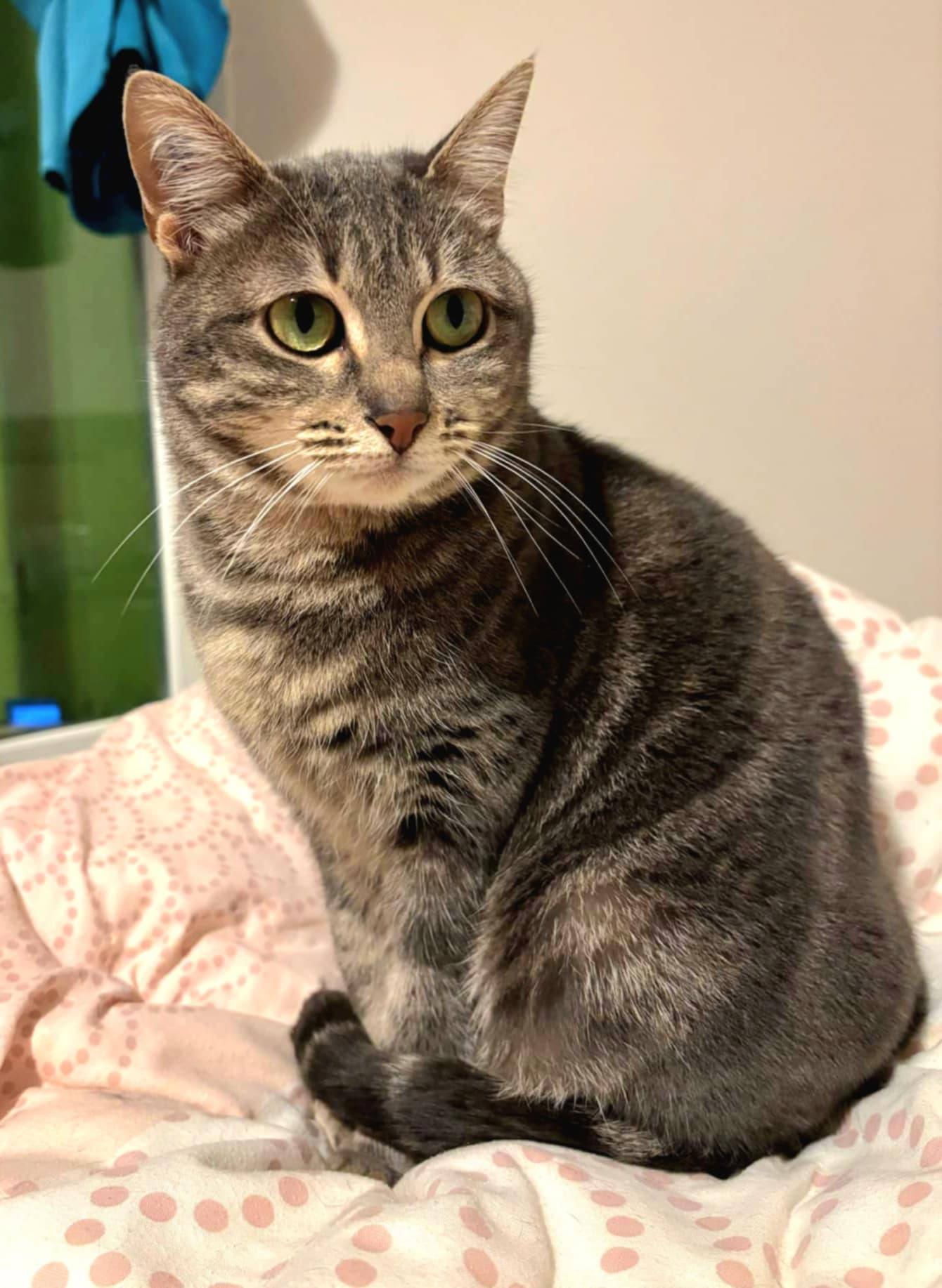 Lulu