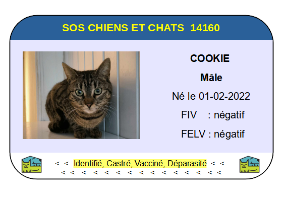 Cookie