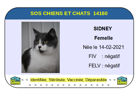 Sidney