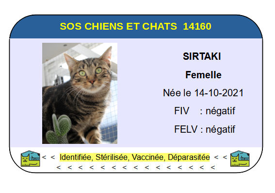 Sirtaki