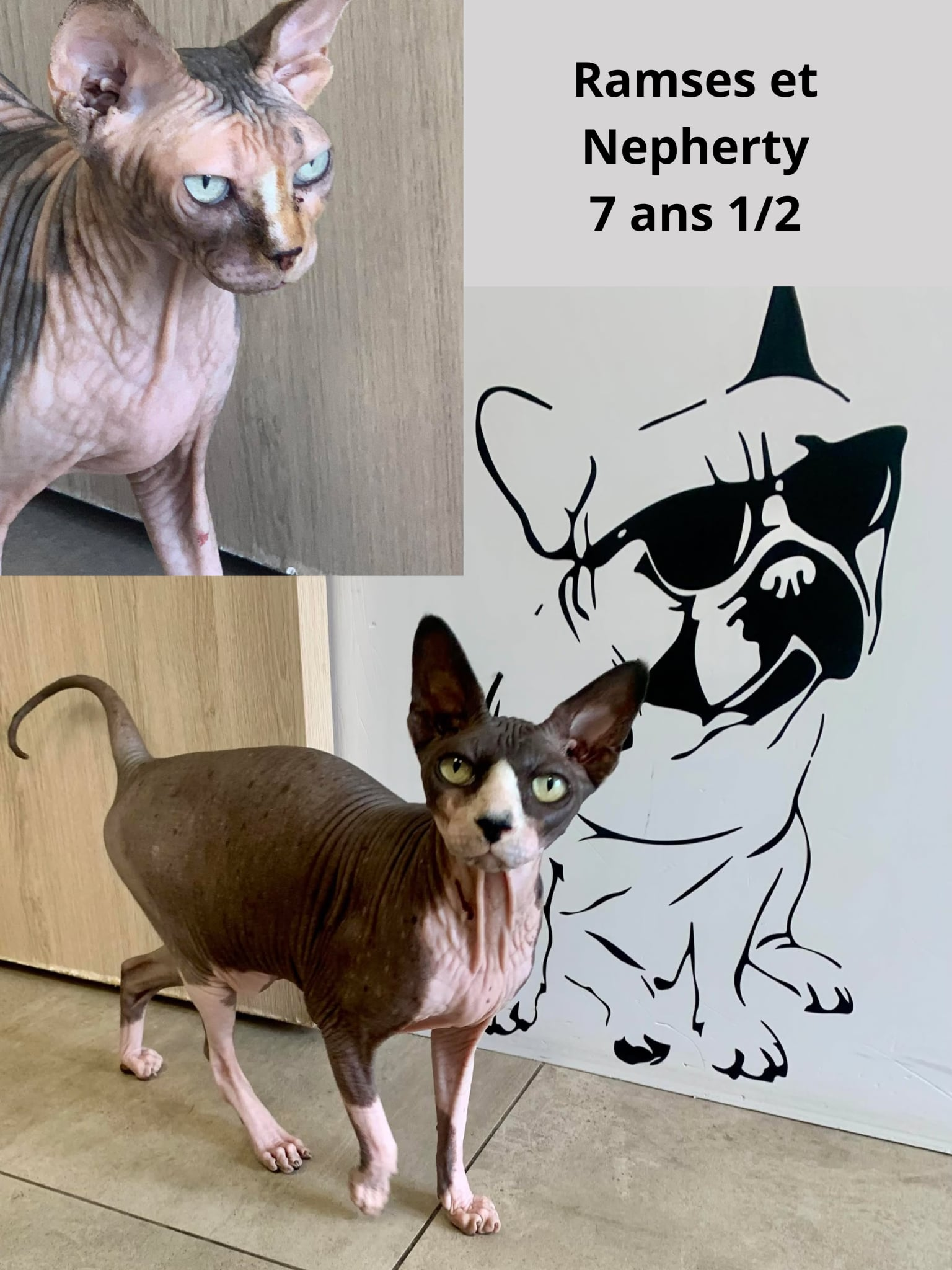 Ramses et Nepherty