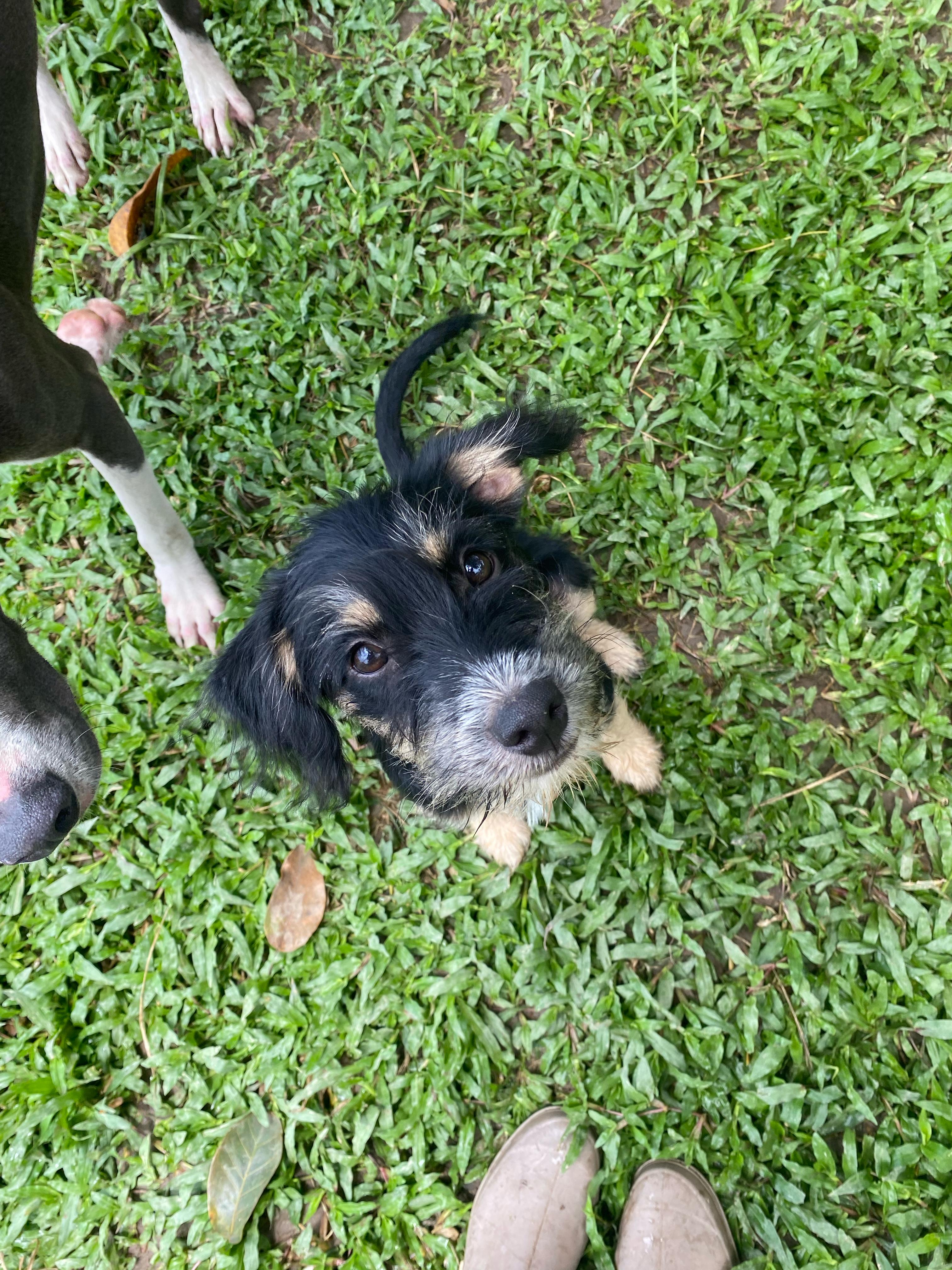 JAX