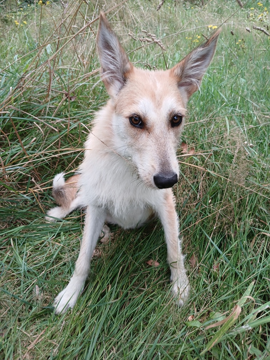 LUNA EST DISPONIBLE IMMEDIATEMENT