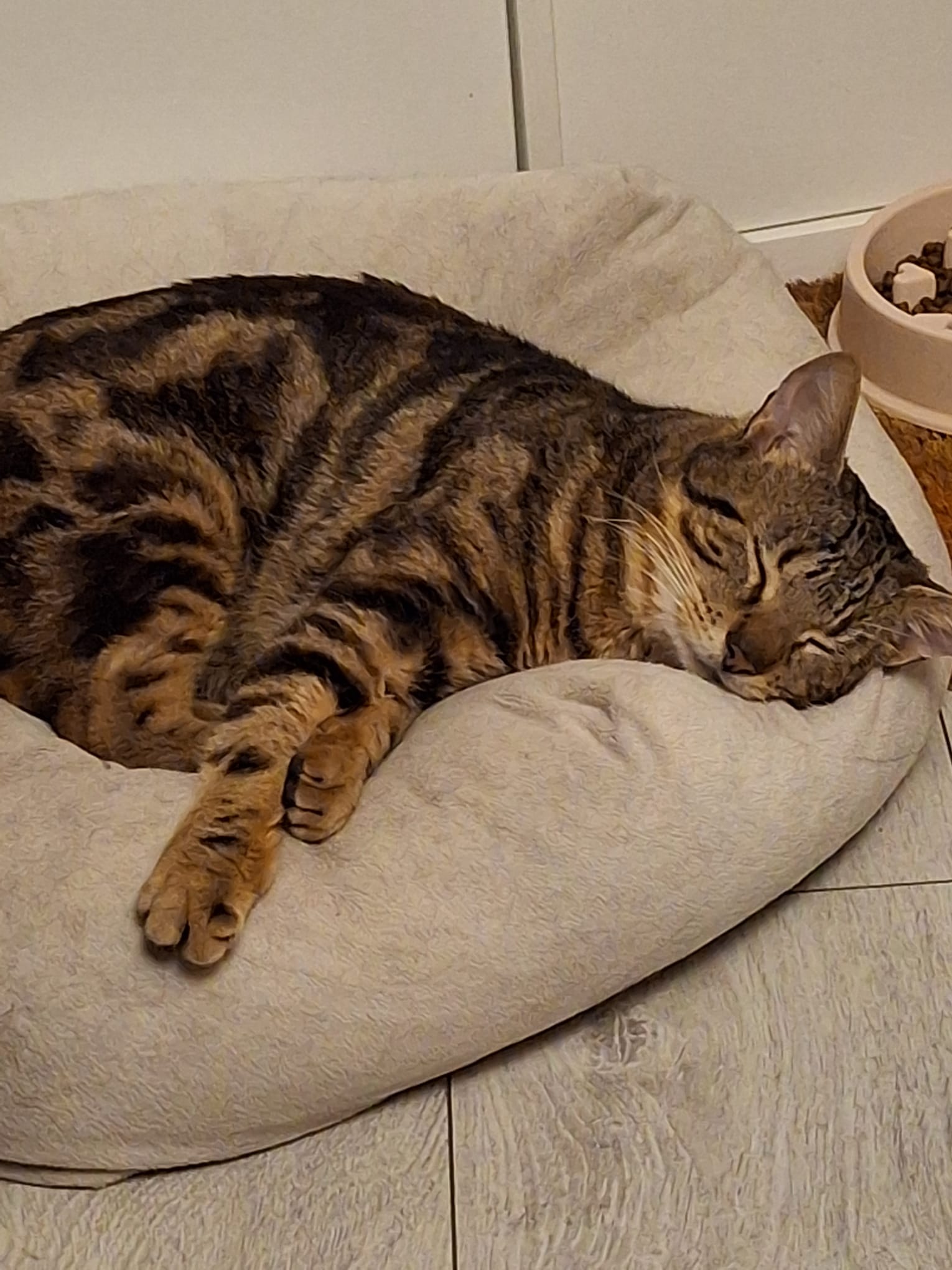 Manx