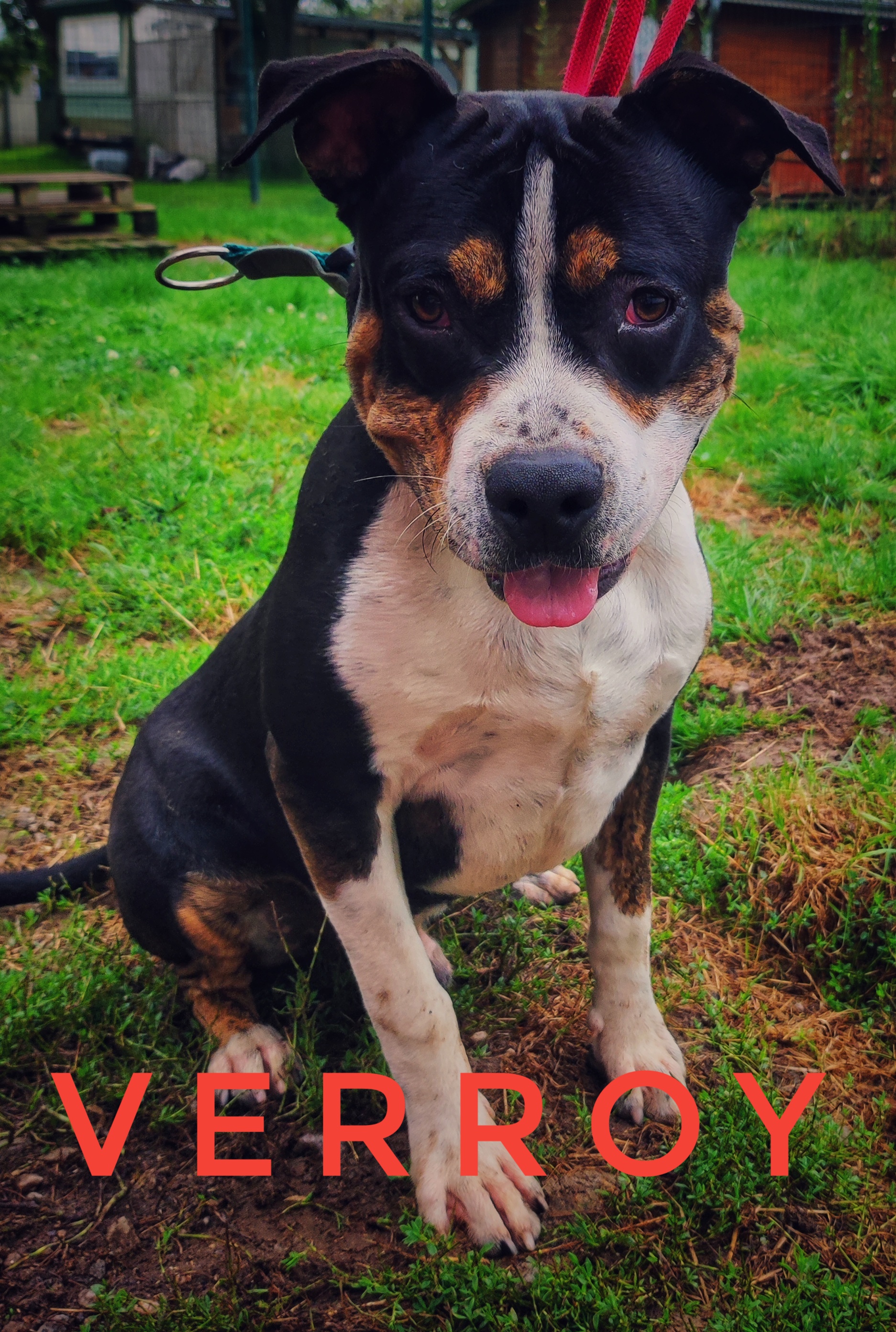 Veeroy