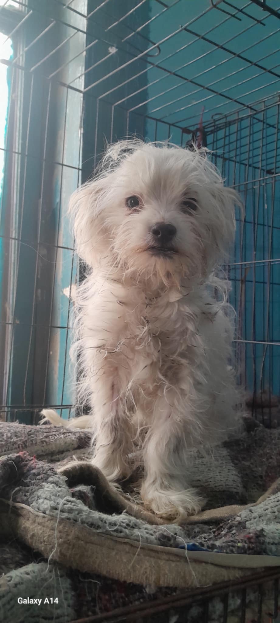 VALKO