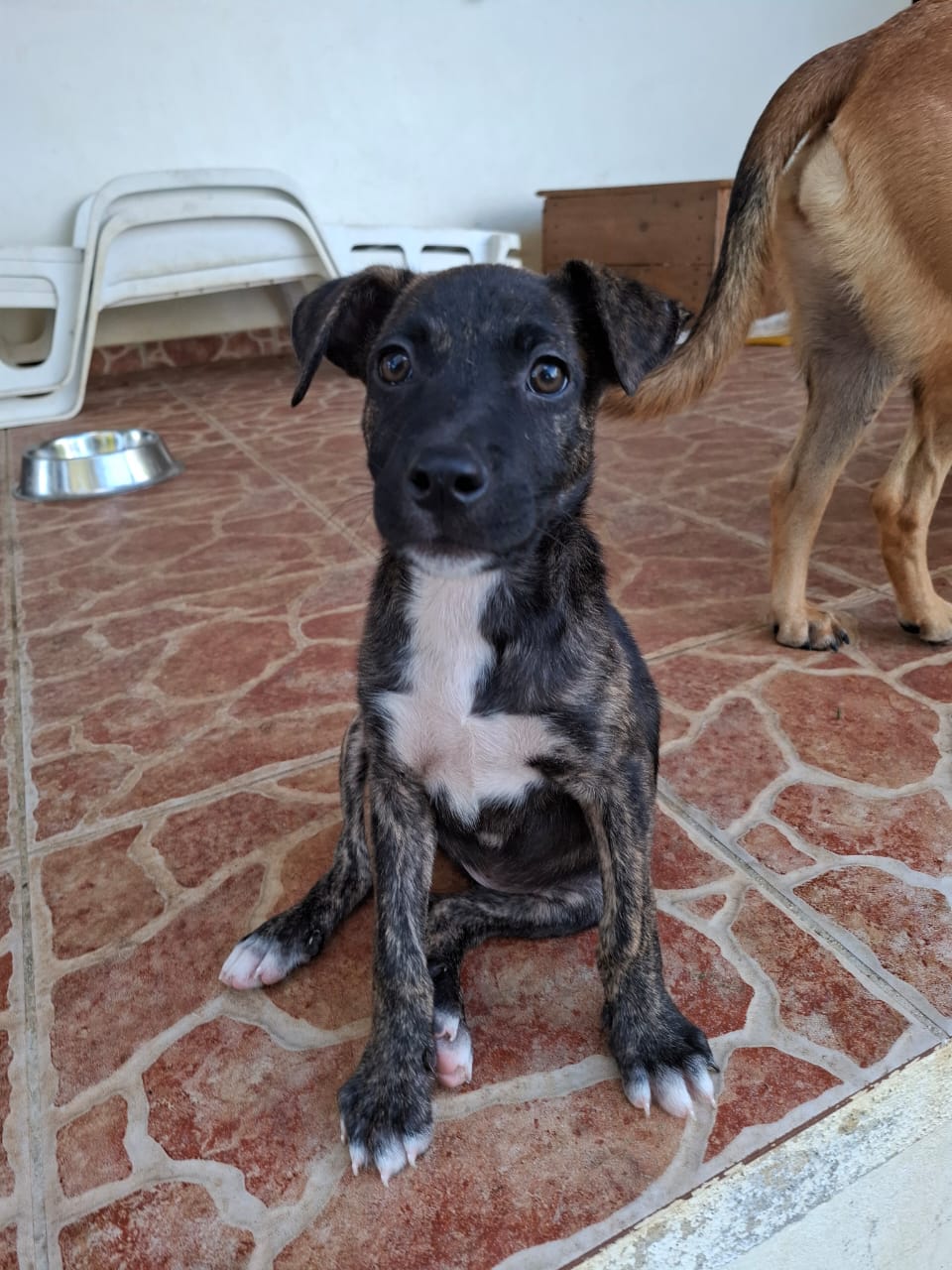 ZITA 