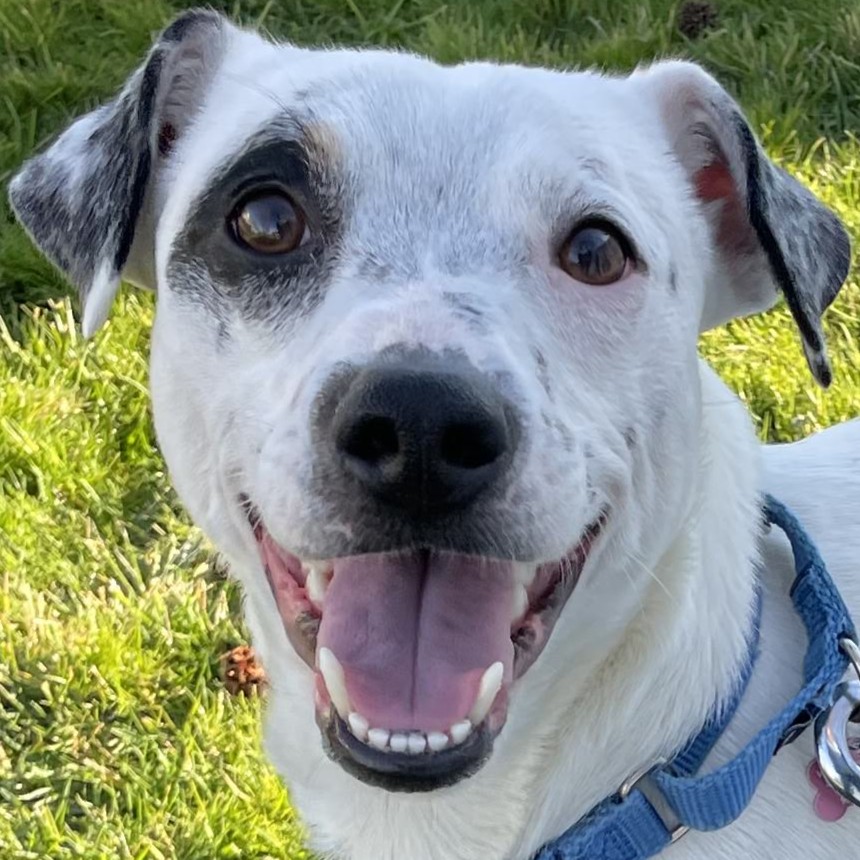 Atom