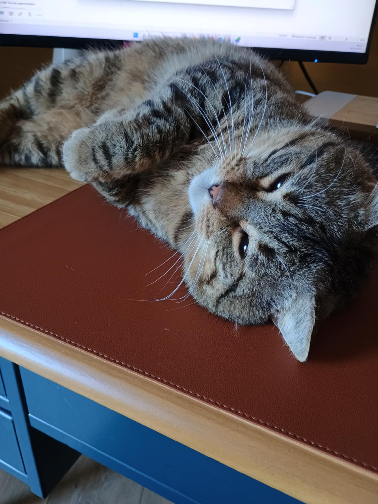 Hercule