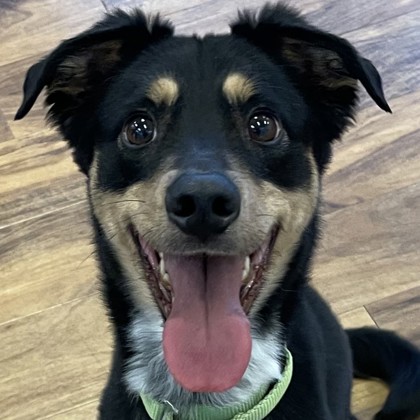 Max