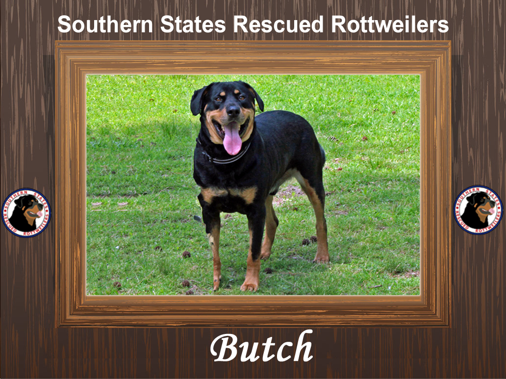 Butch