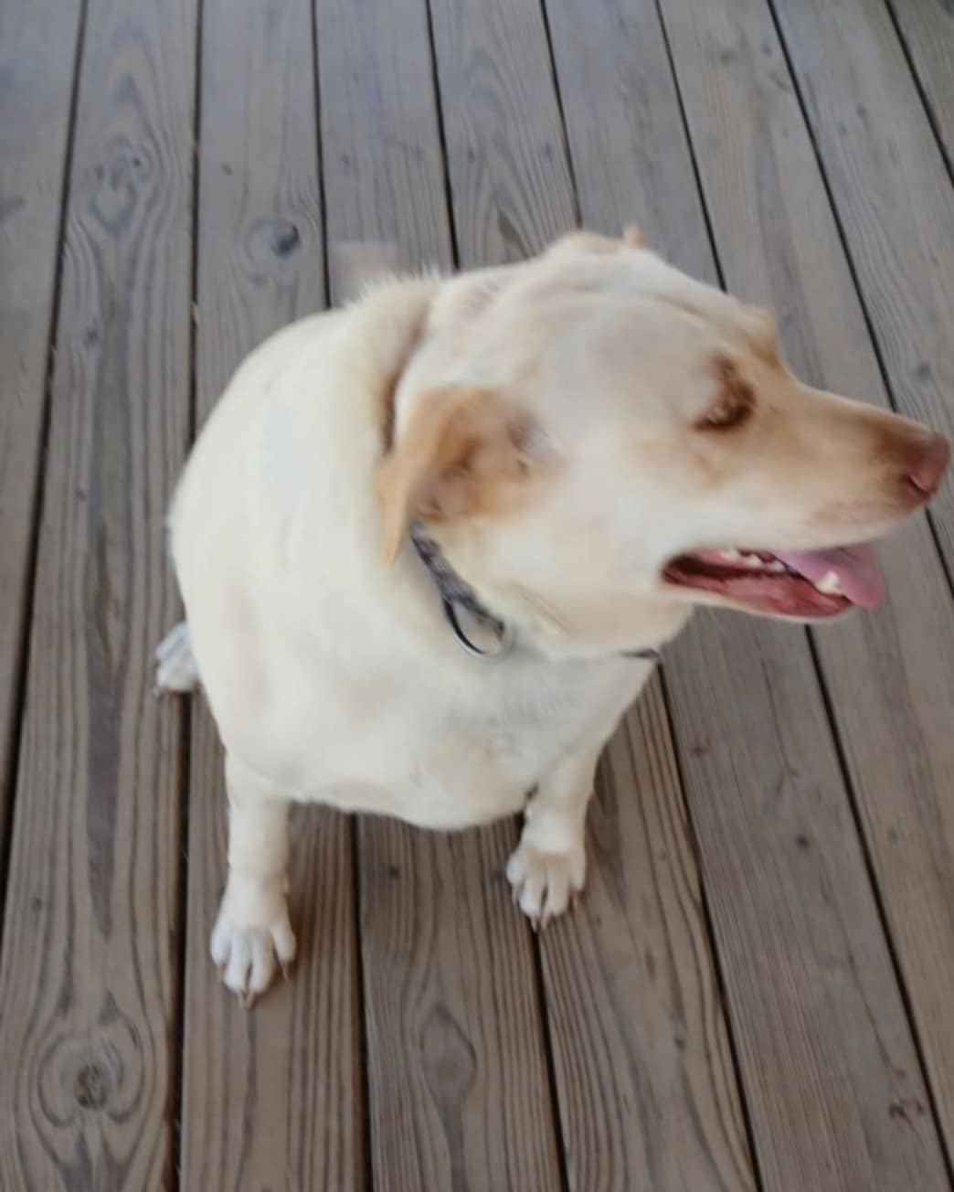 Molly